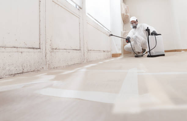 24/7 Emergency Basement Mold Remediation experts in Somerset, TX