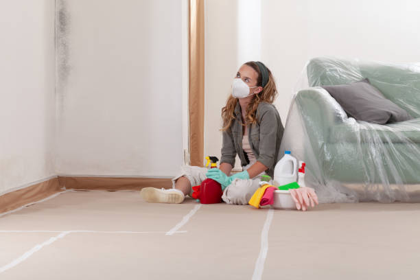 Reliable Basement Mold Remediation contractor in Somerset, TX by 24 Hour Mold Removal